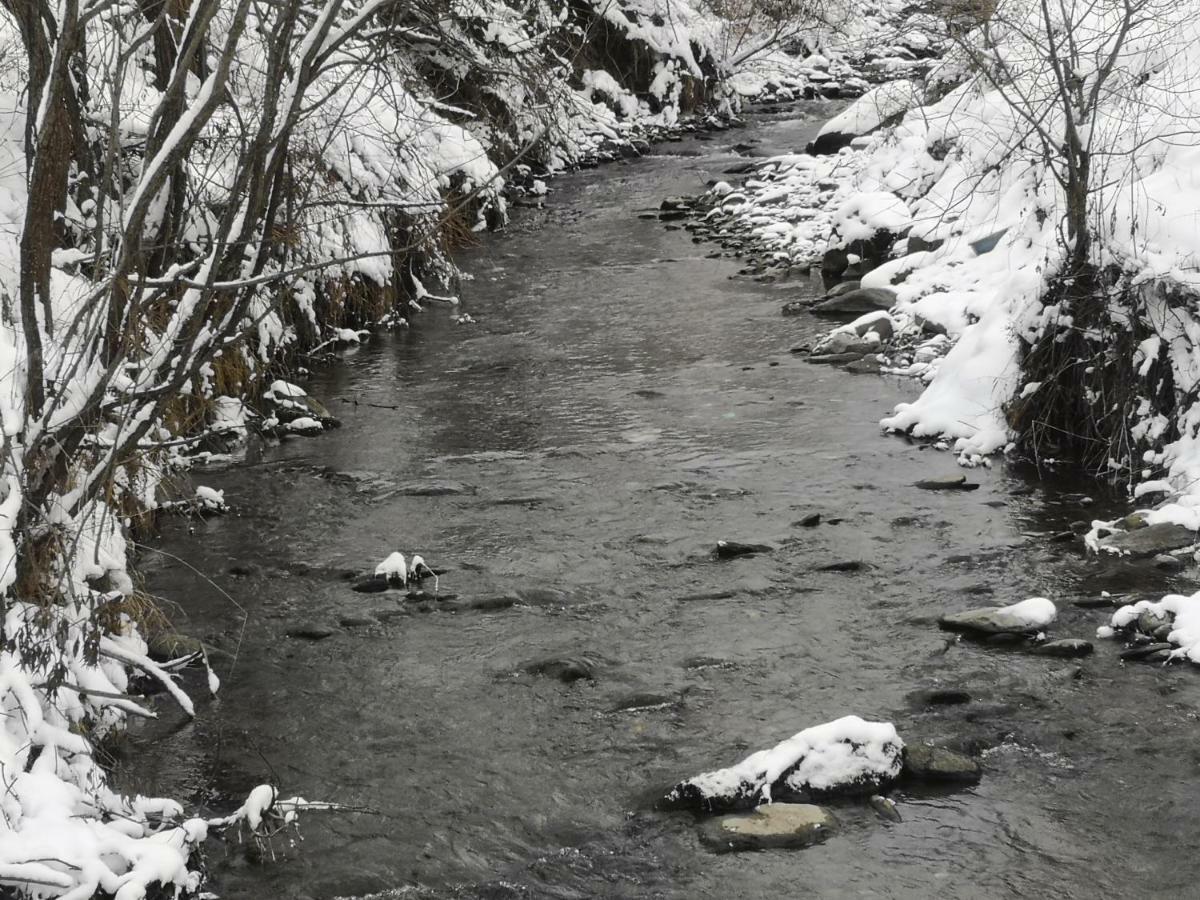 Pensiunea Floare De Colt Moisei Buitenkant foto