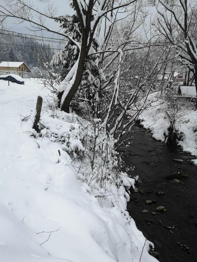 Pensiunea Floare De Colt Moisei Buitenkant foto